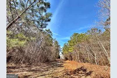 6411 Columbus Road, Lizella, GA 31052 - Photo 36