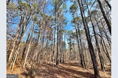 6411 Columbus Road, Lizella, GA 31052 - Photo 32