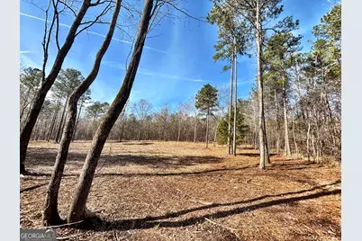 6411 Columbus Road, Lizella, GA 31052 - Photo 34