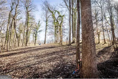 391 Marvin Land Lane, Canton, GA 30115 - Photo 12