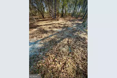 114 Ohoopee Road, Adrian, GA 31002 - Photo 16