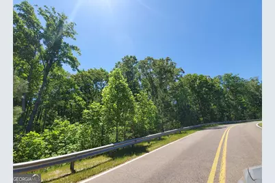 110 Hogan Pond Lane, Ball Ground, GA 30107 - Photo 2