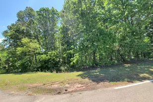 110 Hogan Pond Ln, Ball Ground, GA 30107 - Photo 1