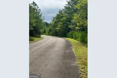 Lts 43 &amp; 44 Reece Mountain Road, Ellijay, GA 30536 - Photo 16