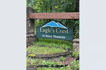 Lts 43 &amp; 44 Reece Mountain Road, Ellijay, GA 30536 - Photo 1