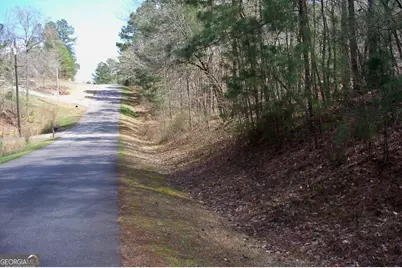 1360 Northwoods Drive, Greensboro, GA 30642 - Photo 4