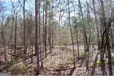 1360 Northwoods Drive, Greensboro, GA 30642 - Photo 2