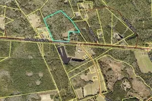 0 W Hwy 280, Pembroke, GA 31321 - Photo 1