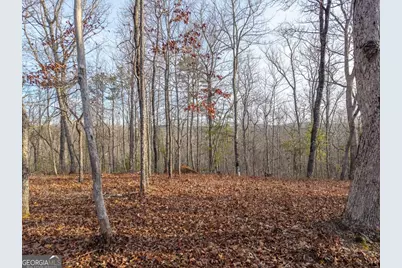 Lts 156 &amp; 157 Harris Creek Drive, Ellijay, GA 30540 - Photo 4