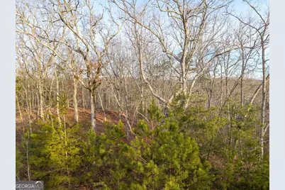 Lts 156 &amp; 157 Harris Creek Drive, Ellijay, GA 30540 - Photo 10