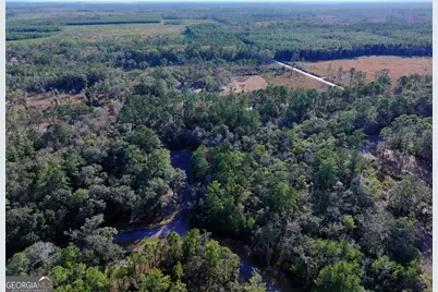 0 Merlin Court, Waverly, GA 31565 - Photo 8