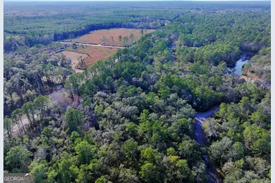 0 Merlin Court, Waverly, GA 31565 - Photo 6