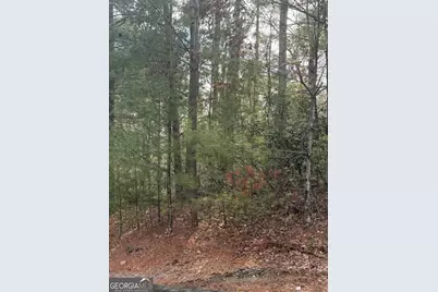 0 Cedar Ridge, Clayton, GA 30525 - Photo 6