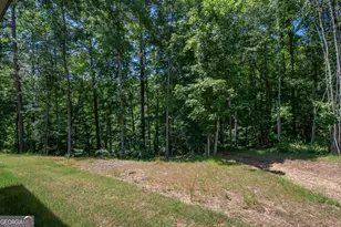 5 Firefly Run, Lagrange, GA 30240 - Photo 50