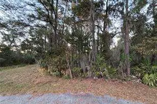 147 Picket Run, Brunswick, GA 31520 - Photo 1