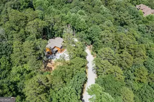 43 Madonna Ct, Ellijay, GA 30540 - Photo 62