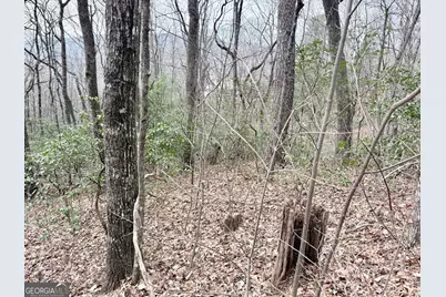 0 Monarch Lane, Clayton, GA 30525 - Photo 4