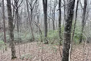 0 Monarch Ln, Clayton, GA 30525 - Photo 1