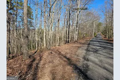 1.16 Marie Drive #1802B, Talking Rock, GA 30175 - Photo 10