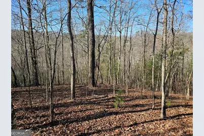 1.16 Marie Drive #1802B, Talking Rock, GA 30175 - Photo 8