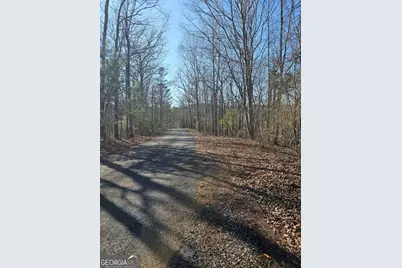 1.16 Marie Drive #1802B, Talking Rock, GA 30175 - Photo 2