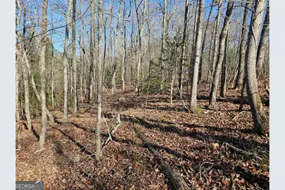 1.16 Marie Drive #1802B, Talking Rock, GA 30175 - Photo 12