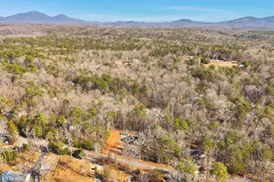 281 Oak View Trail, Cleveland, GA 30528 - Photo 46