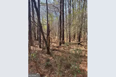 950 John W Breedlove Road, Monroe, GA 30656 - Photo 2