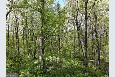 0 Burnt Mountain Cove Road, Jasper, GA 30143 - Photo 6