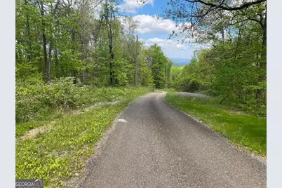 0 Burnt Mountain Cove Road, Jasper, GA 30143 - Photo 4