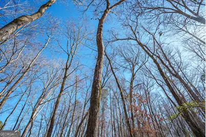 0 Warren Road, White Plains, GA 30678 - Photo 16