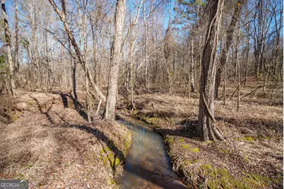 0 Warren Road, White Plains, GA 30678 - Photo 18