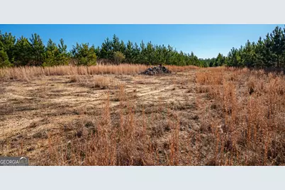 0 Warren Road, White Plains, GA 30678 - Photo 10