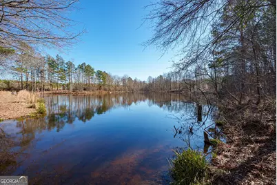 0 Warren Road, White Plains, GA 30678 - Photo 22