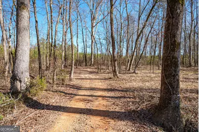 0 Warren Road, White Plains, GA 30678 - Photo 2