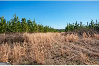 0 Warren Road, White Plains, GA 30678 - Photo 26