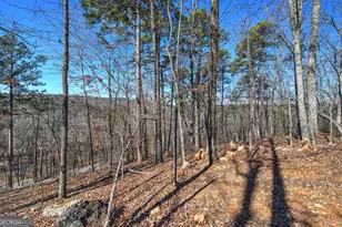 676 Flowery Branch Rd, Kingston, GA 30145 - Photo 56