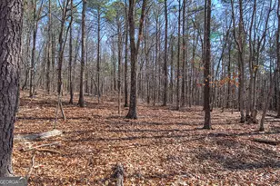 676 Flowery Branch Rd, Kingston, GA 30145 - Photo 48