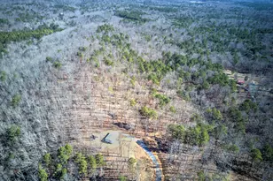 676 Flowery Branch Rd, Kingston, GA 30145 - Photo 84