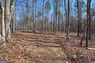 676 Flowery Branch Rd, Kingston, GA 30145 - Photo 44