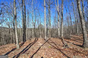 676 Flowery Branch Rd, Kingston, GA 30145 - Photo 58