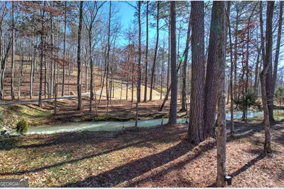 676 Flowery Branch Road, Kingston, GA 30145 - Photo 64