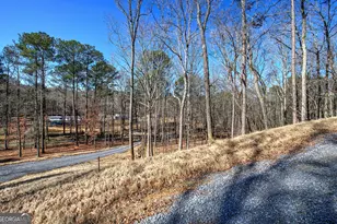 676 Flowery Branch Rd, Kingston, GA 30145 - Photo 62