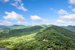 641 Bryant Farm Ln, Ellijay, GA 30540 - Photo 8