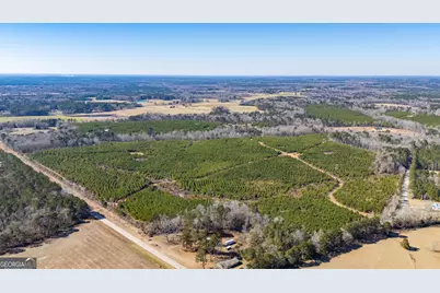 0 Crawfordville Road, White Plains, GA 30678 - Photo 10