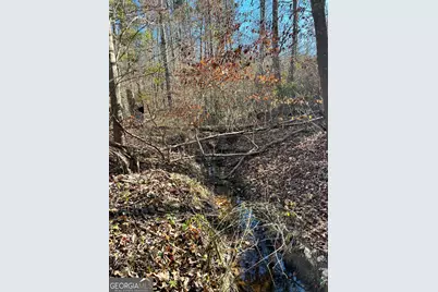 0 Crawfordville Road, White Plains, GA 30678 - Photo 20