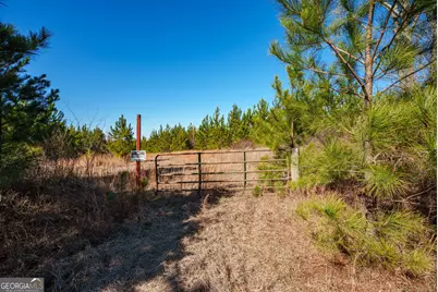 0 Crawfordville Road, White Plains, GA 30678 - Photo 8