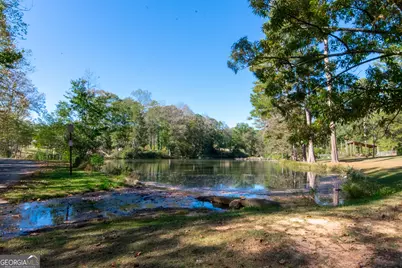 163 Sheppard Drive, Newnan, GA 30263 - Photo 48