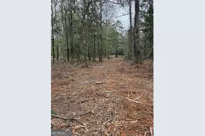 0 Eagle Pond / Old Smithville Road, Leesburg, GA 31763 - Photo 36