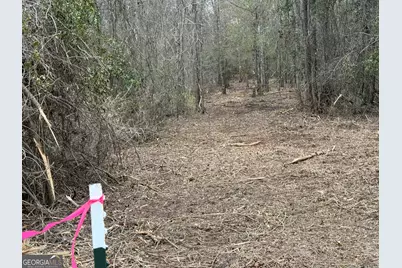 0 Eagle Pond / Old Smithville Road, Leesburg, GA 31763 - Photo 38